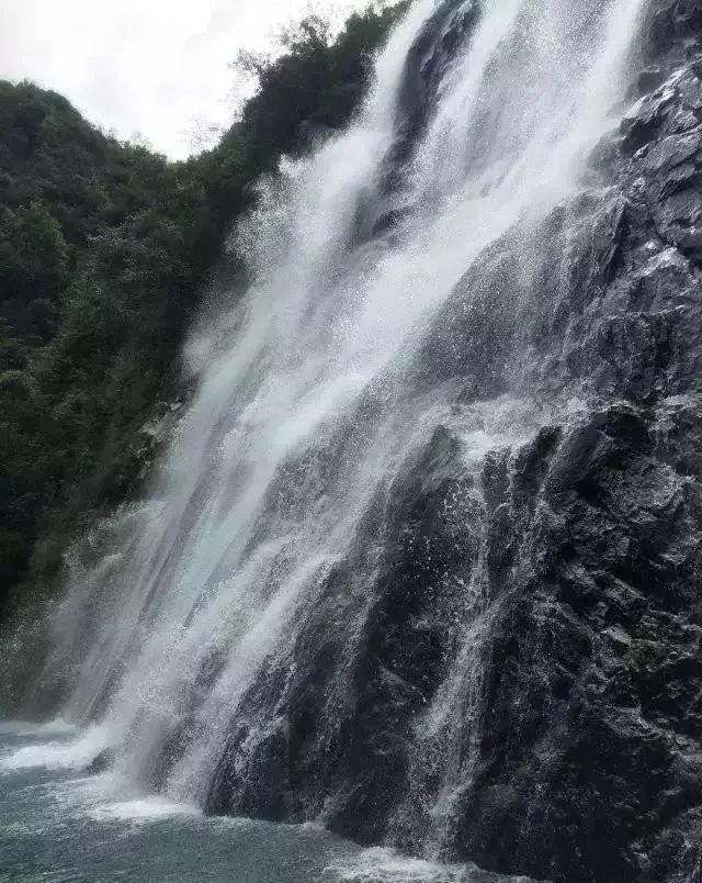 失忆的流浪者